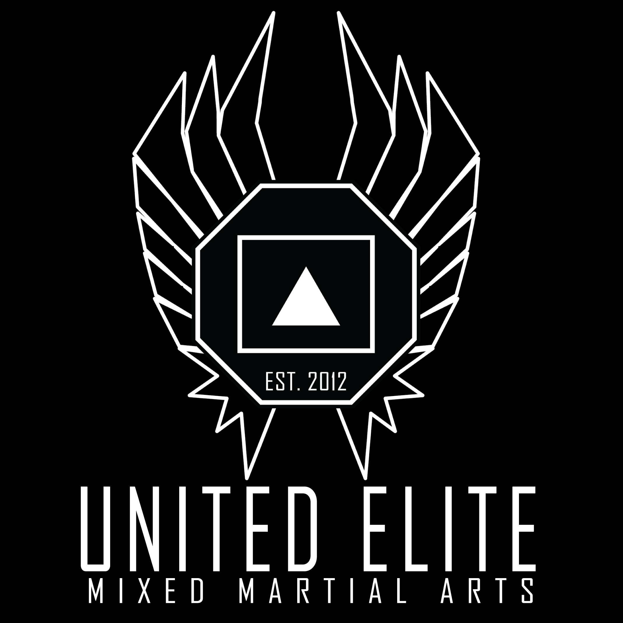 About - United Elite MMA